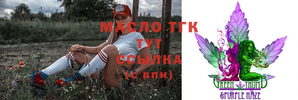 шишки Богородицк